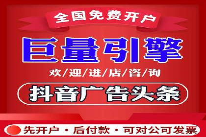 信息流广告的精准定位与效果优化案例分析